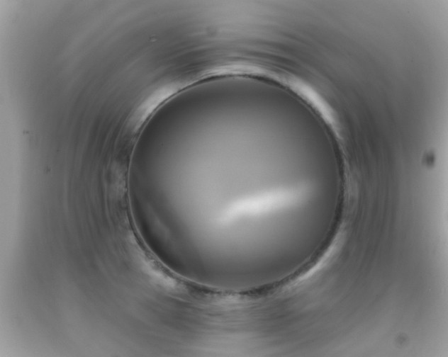 X0000092030945200709061612