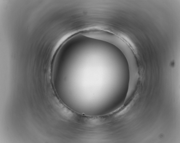 X0000092030948200709061612