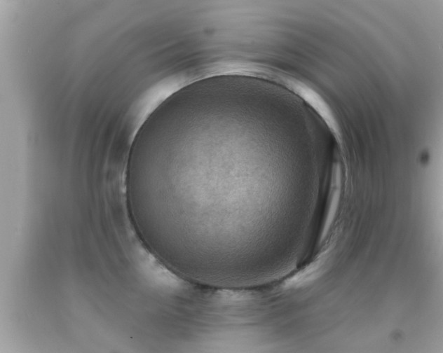 X0000092030954200709061612