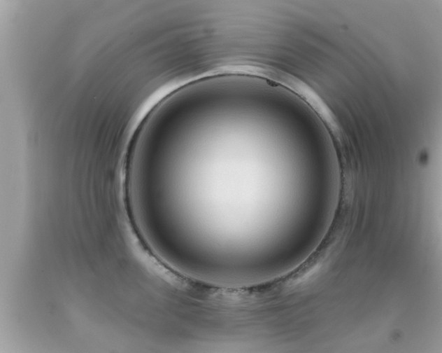 X0000092030955200709061612