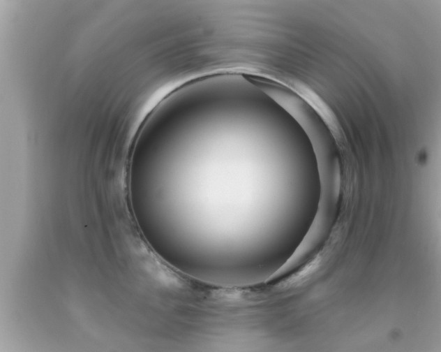 X0000092030956200709061612