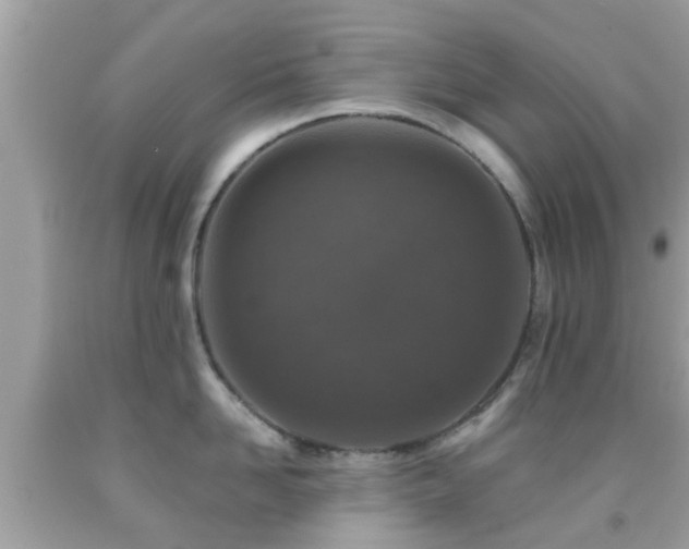 X0000092030958200709061612