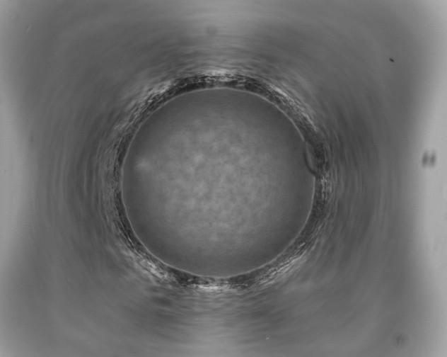 X0000092030961200709061611