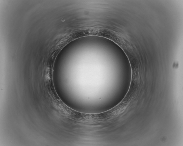 X0000092030962200709061611