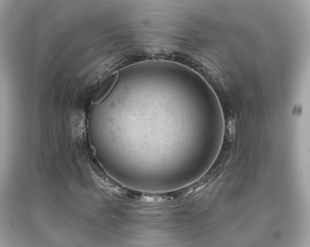 X0000092030963200709061611