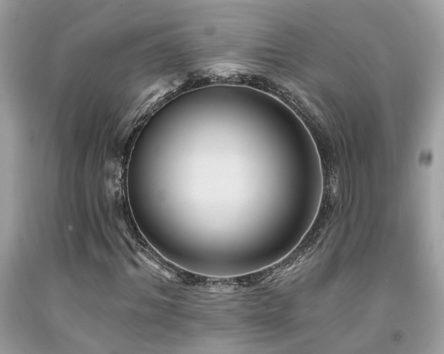 X0000092030964200709061611