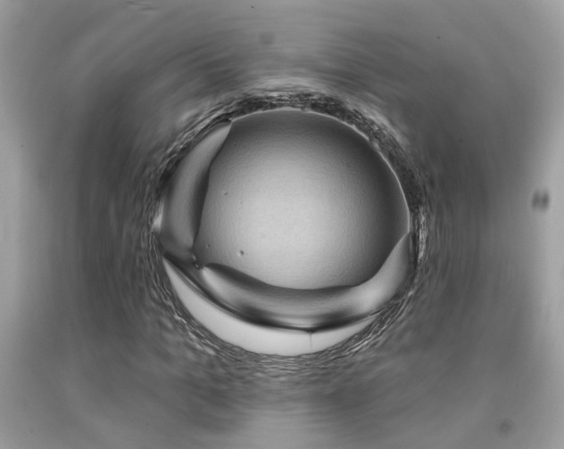 X0000092030965200709061611