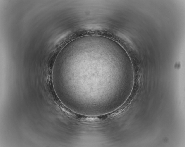 X0000092030966200709061611