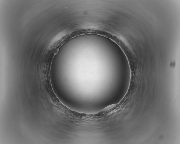 X0000092030967200709061611