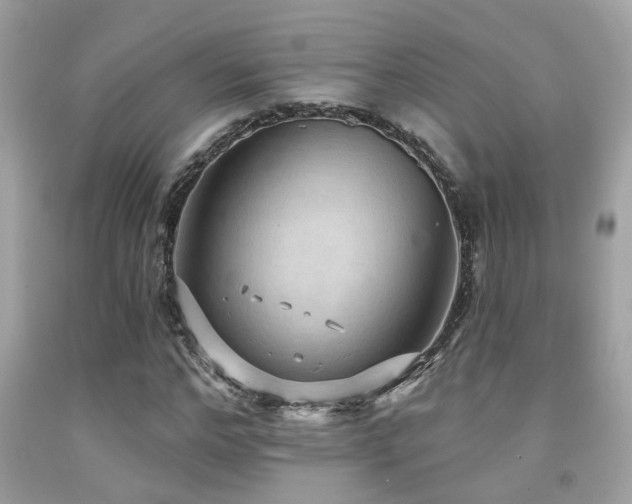 X0000092030968200709061611