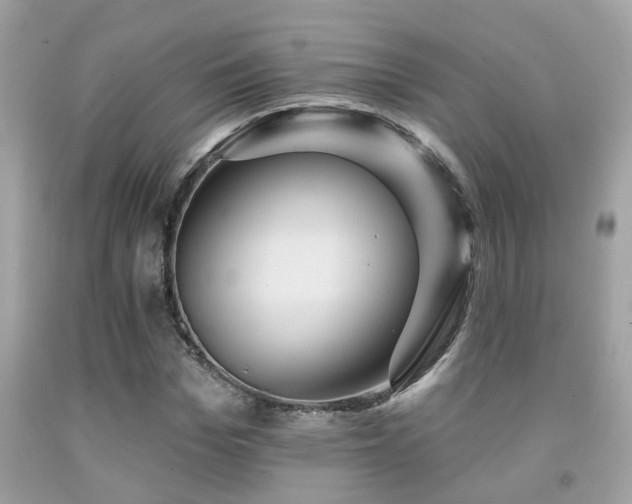 X0000092030969200709061611