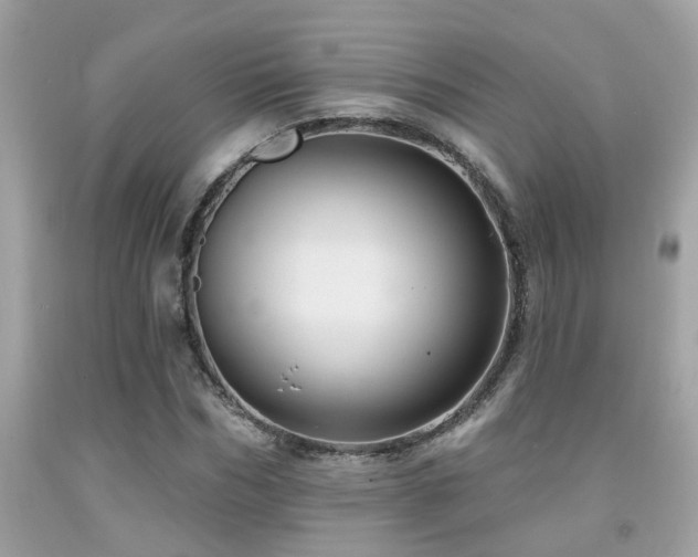 X0000092030970200709061611