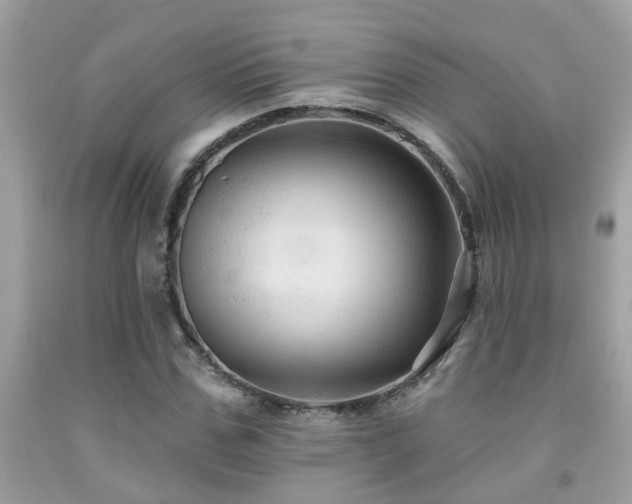X0000092030971200709061611