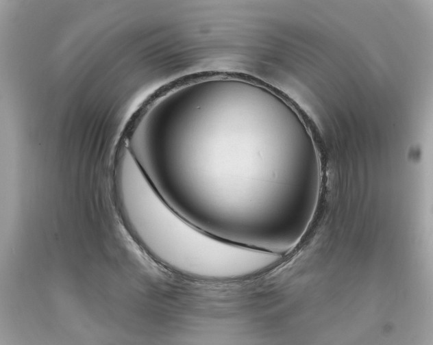 X0000092030972200709061611