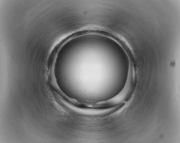 X0000092030973200709061611