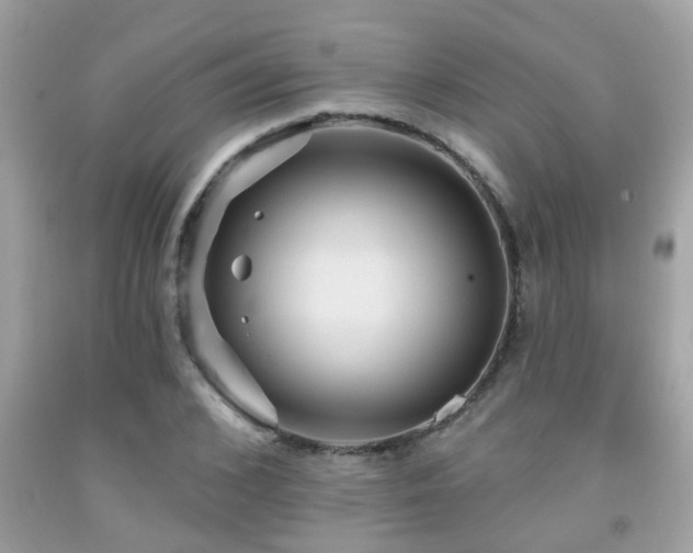 X0000092030976200709061611