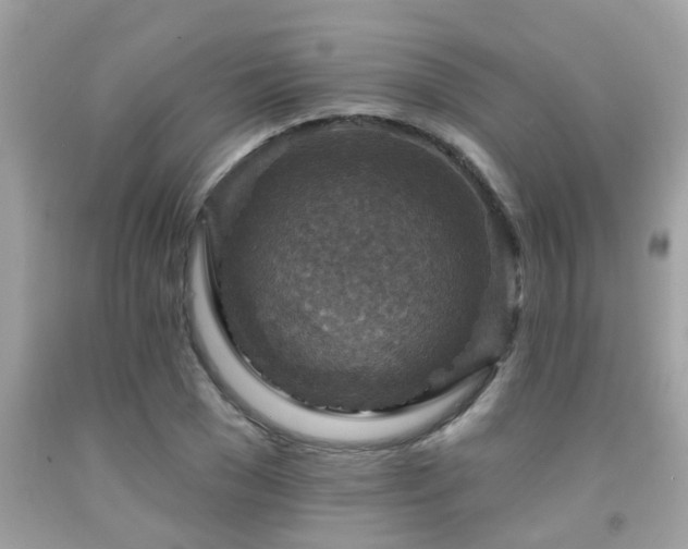X0000092030977200709061611