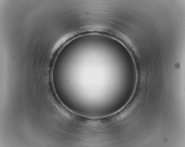 X0000092030978200709061611