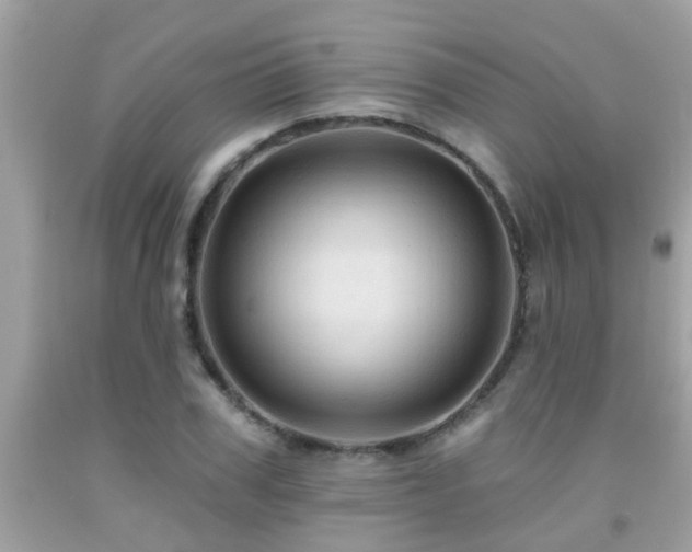 X0000092030979200709061611