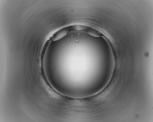 X0000092030980200709061611