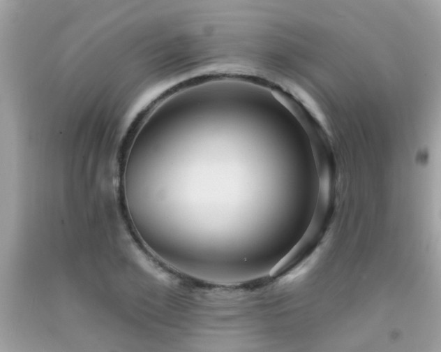 X0000092030981200709061611