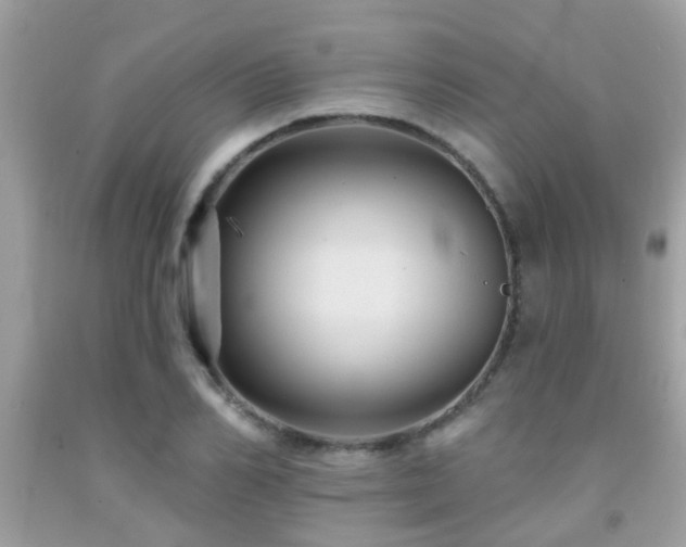 X0000092030982200709061611