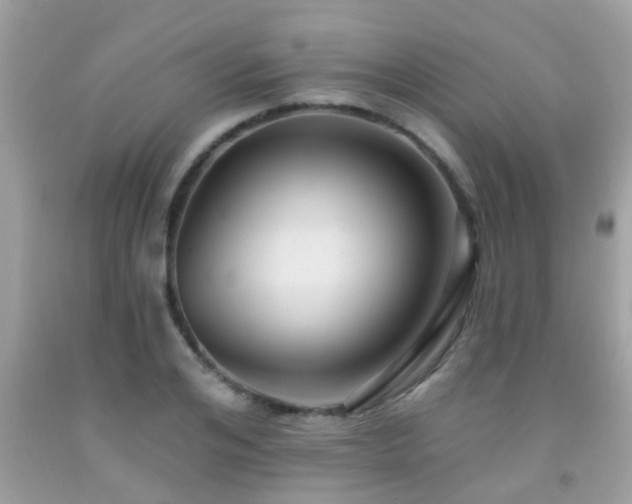 X0000092030984200709061611