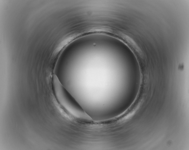 X0000092030985200709061611