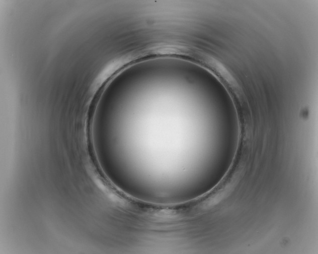 X0000092030986200709061611