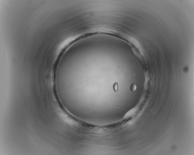 X0000092030987200709061611