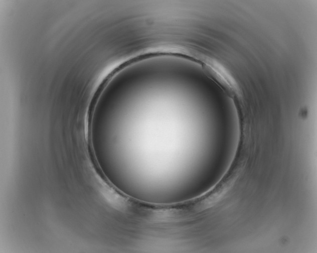 X0000092030988200709061611