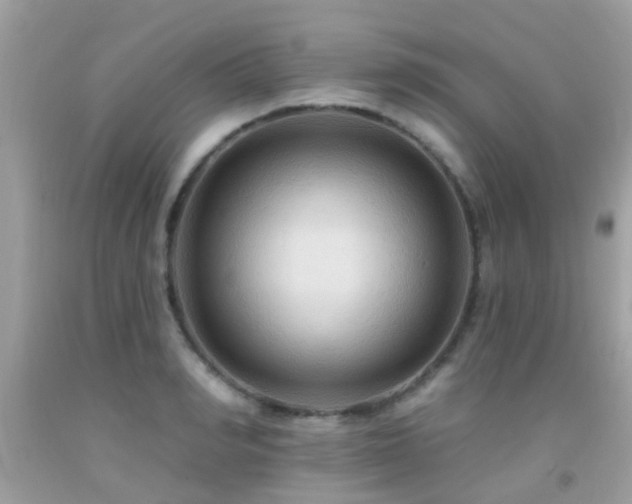 X0000092030990200709061611