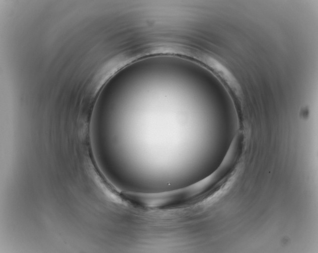 X0000092030993200709061611