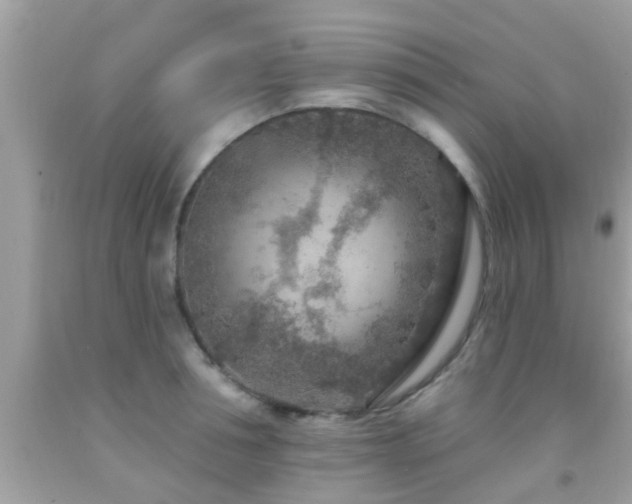 X0000092030994200709061611