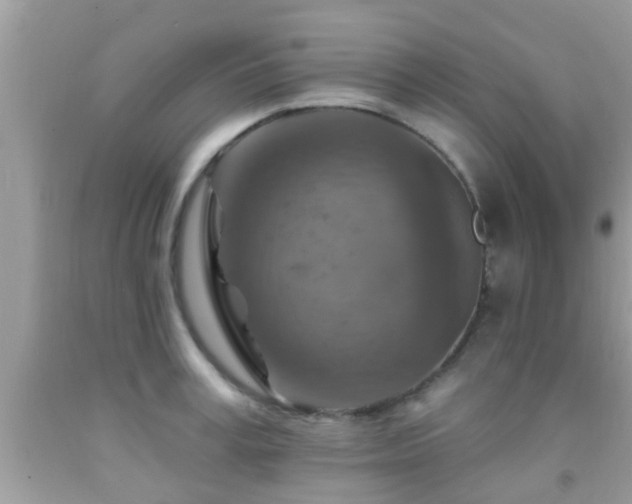X0000092030995200709061611