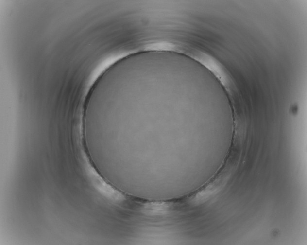 X0000092031000200709061611