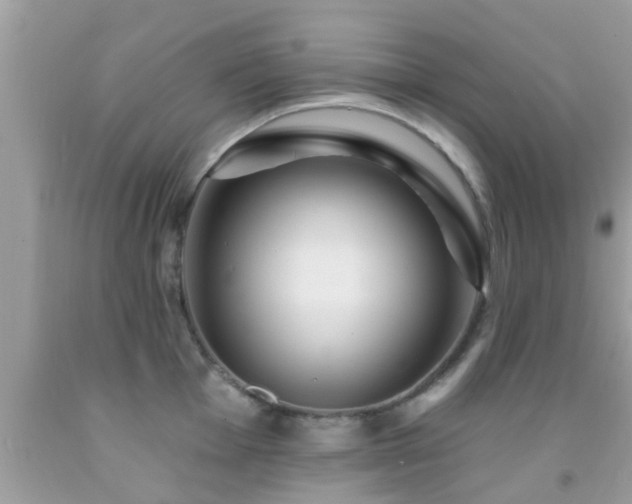 X0000092031001200709061611