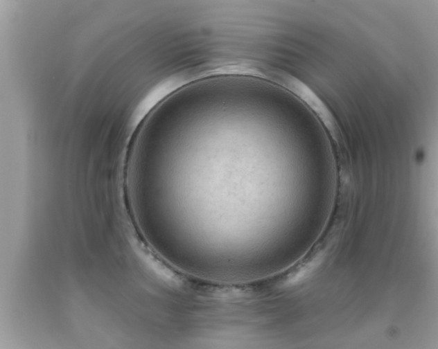 X0000092031002200709061611