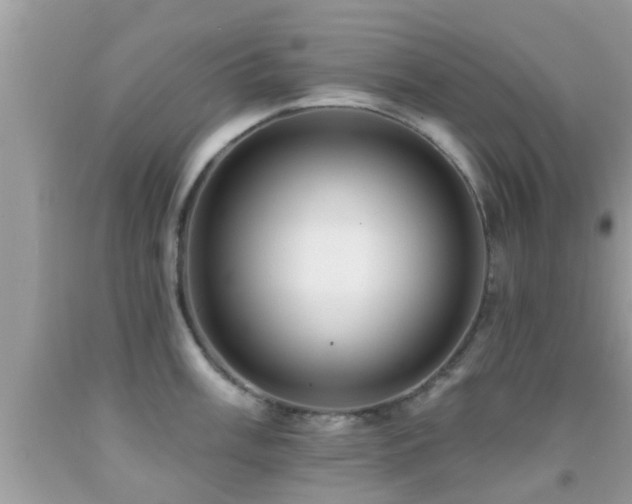 X0000092031003200709061611
