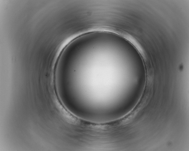 X0000092031004200709061611