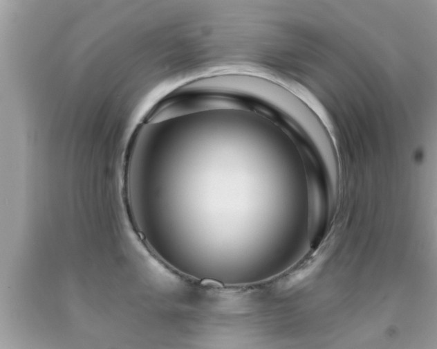 X0000092031005200709061611
