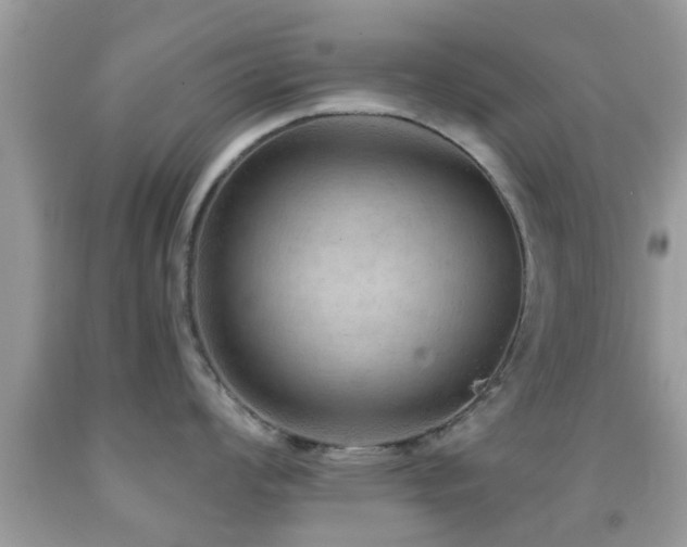 X0000092031008200709061611