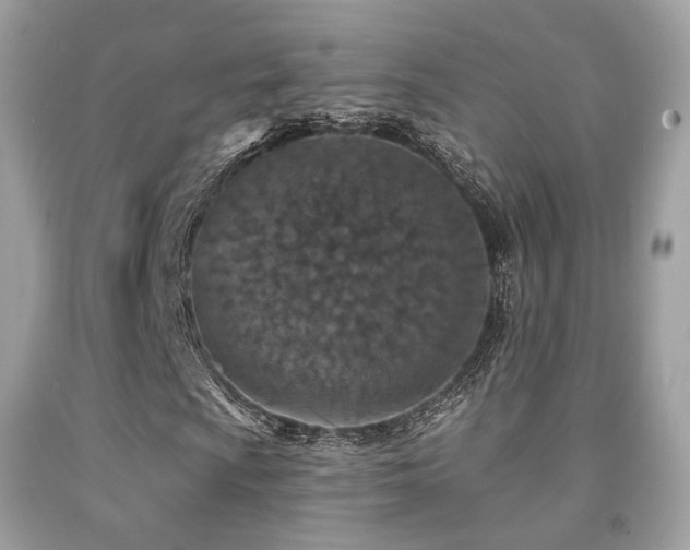 X0000092031009200709061610