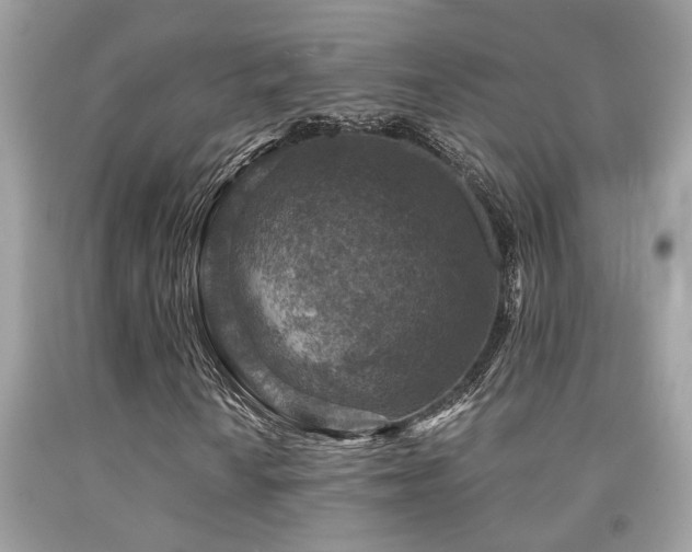 X0000092031010200709061610