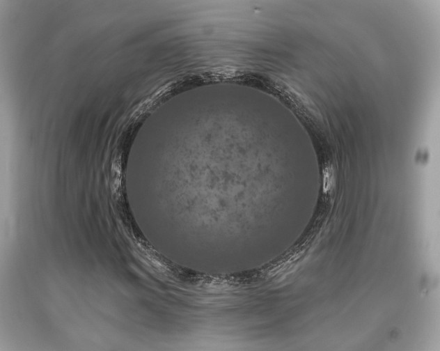 X0000092031011200709061610
