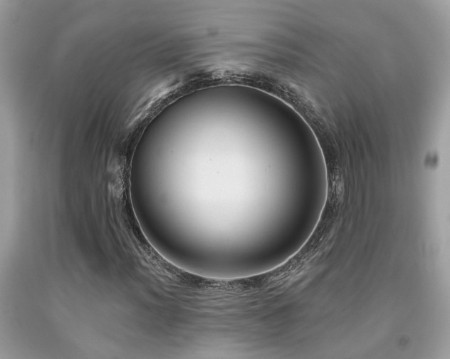 X0000092031012200709061610