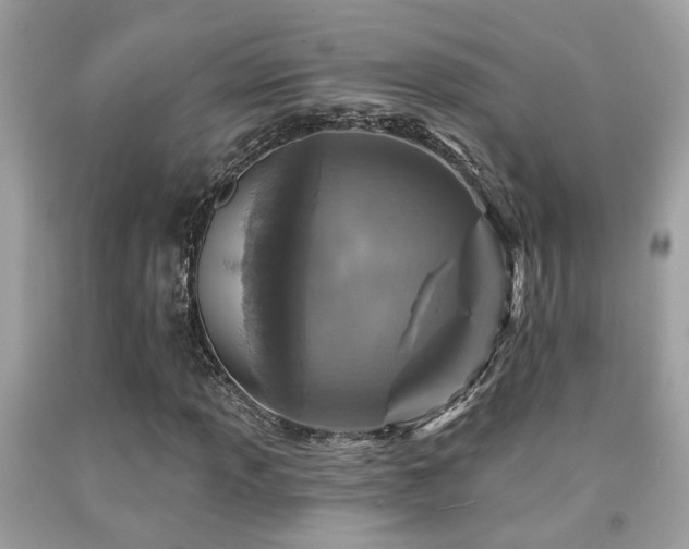 X0000092031013200709061610