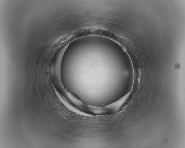 X0000092031014200709061610