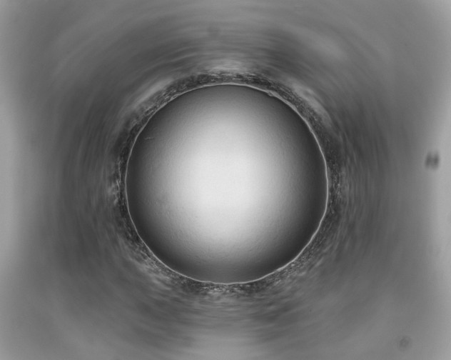 X0000092031015200709061610