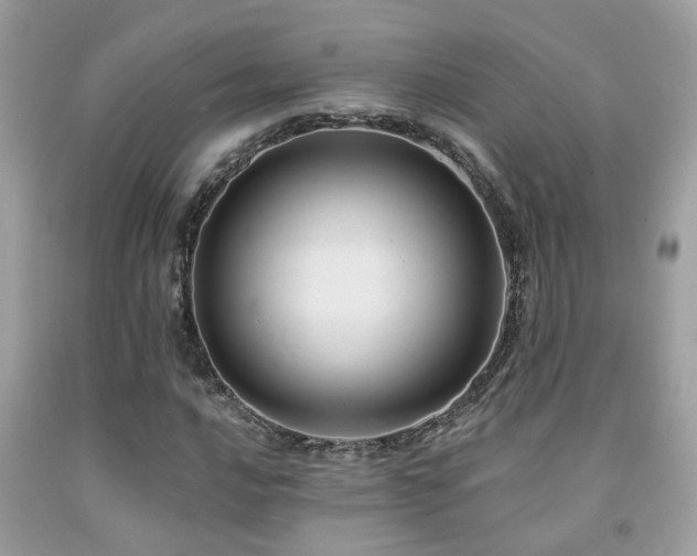 X0000092031016200709061610
